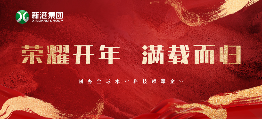 2025喜訊頻傳！新港集團榮膺多項大獎，再獲行業(yè)認可！