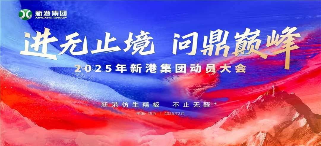 進無止境，問鼎巔峰！2025年新港集團動員大會成功召開！